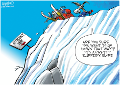 A SLIPPERY SLOPE by Dave Whamond