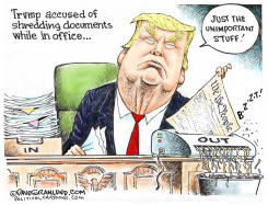 TRUMP SHREDDED DOCUMENTS by Dave Granlund