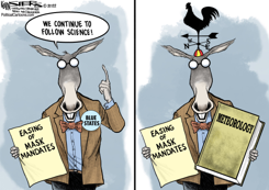 BLUE STATES UNMASKING by Kevin Siers
