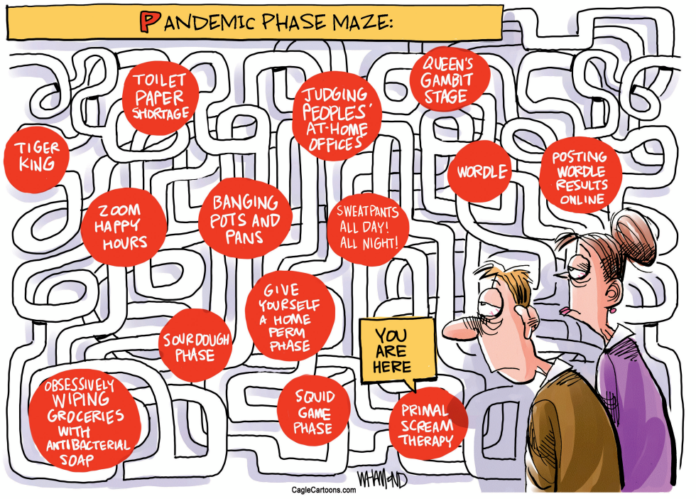 Pandemic Phases