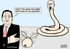 SABER RATTLING IN UKRAINE by Rainer Hachfeld