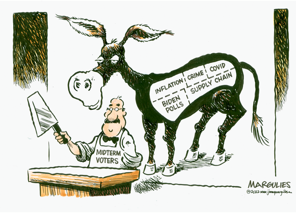 Democrats and Midterm Election 2022