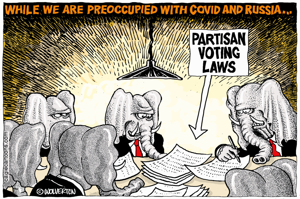 Partisan Voting Laws