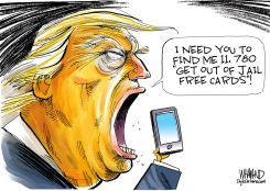 TRUMP'S LEGAL AVALANCHE by Dave Whamond