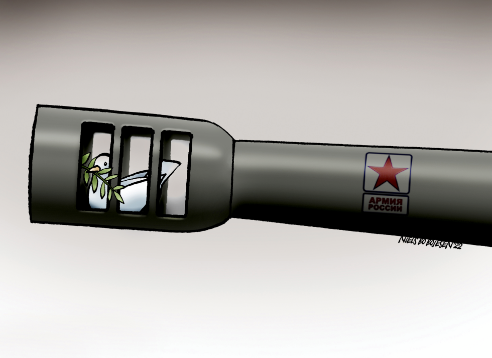 Peacekeeping Mission.