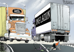 ROAD KILL by Rivers