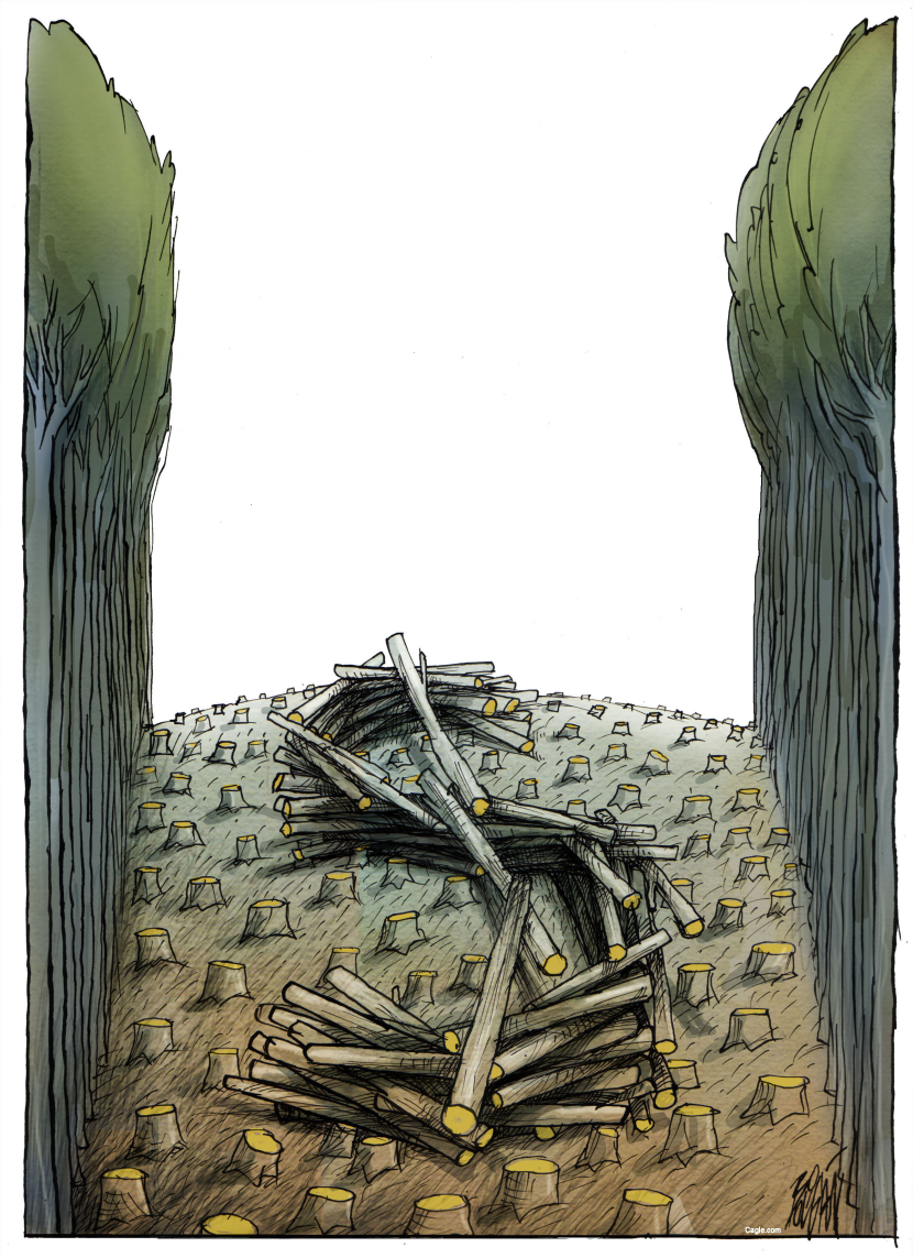 Killing the Forest for Profit