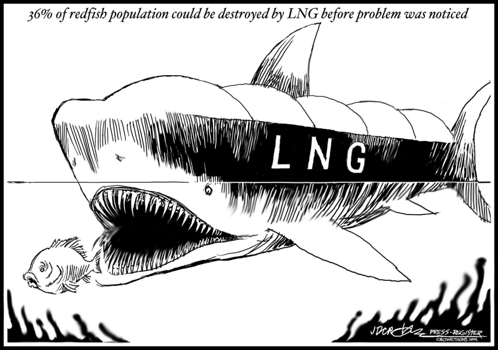 LNG shark