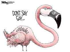 FLORIDA - DON'T SAY GAY by Bill Day