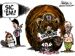 SIC EM by Steve Nease