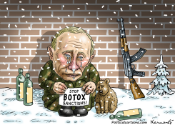AFTER THE CRISIS by Marian Kamensky
