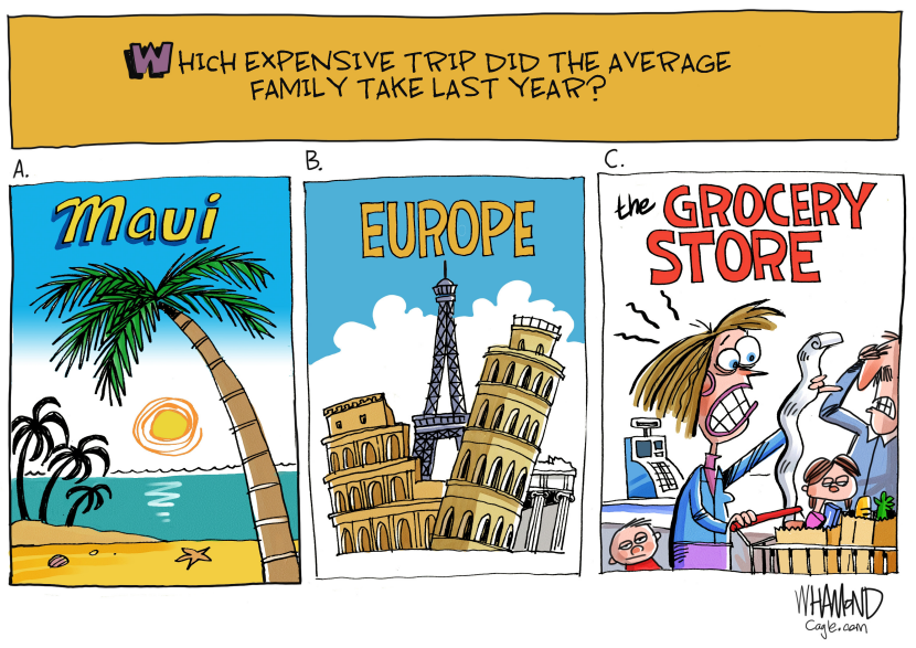 Expensive Trips