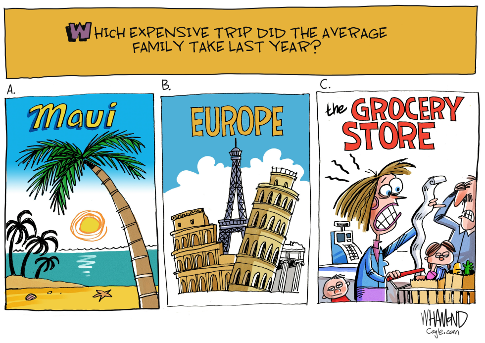 Expensive Trips