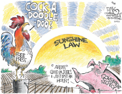 SUNSHINE WEEK by John Darkow