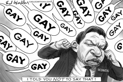 DONT SAY GAY GAY GAY DESANTIS by Ed Wexler