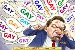FLORIDA - DONT SAY GAY GAY GAY DESANTIS by Ed Wexler