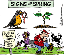 SPRING by Steve Nease