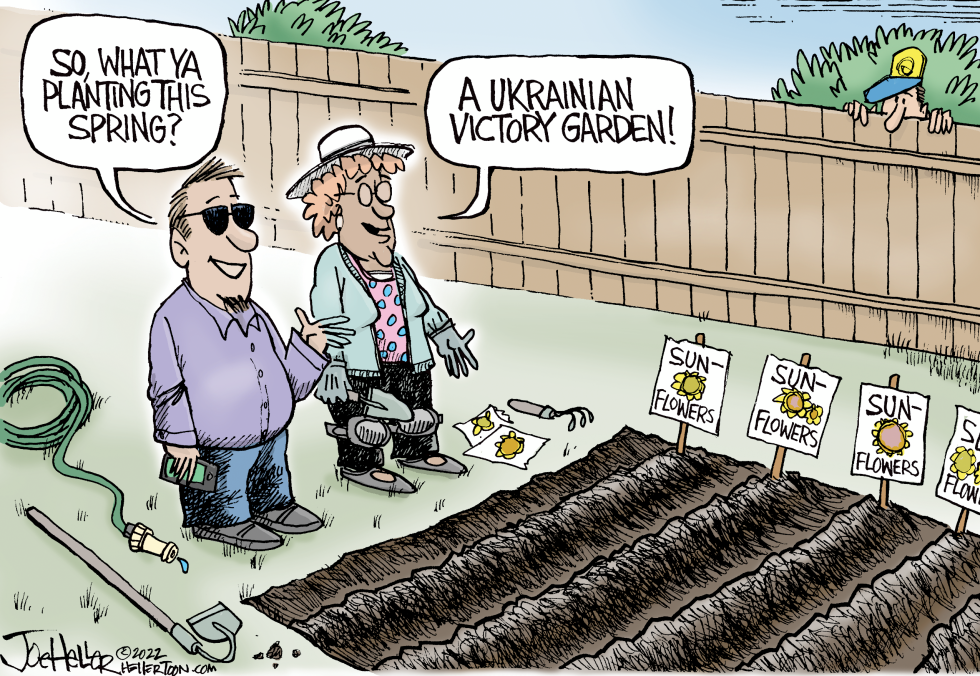 Spring Garden