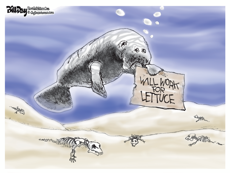 FLORIDA - Starving Manatees