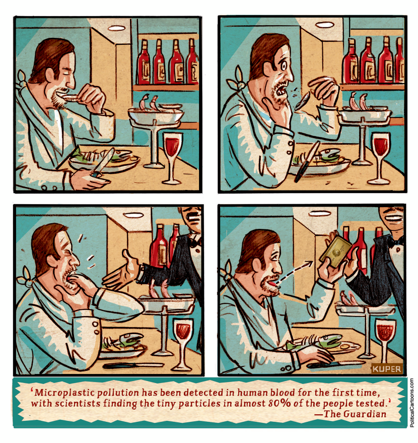 Paying With Plastic