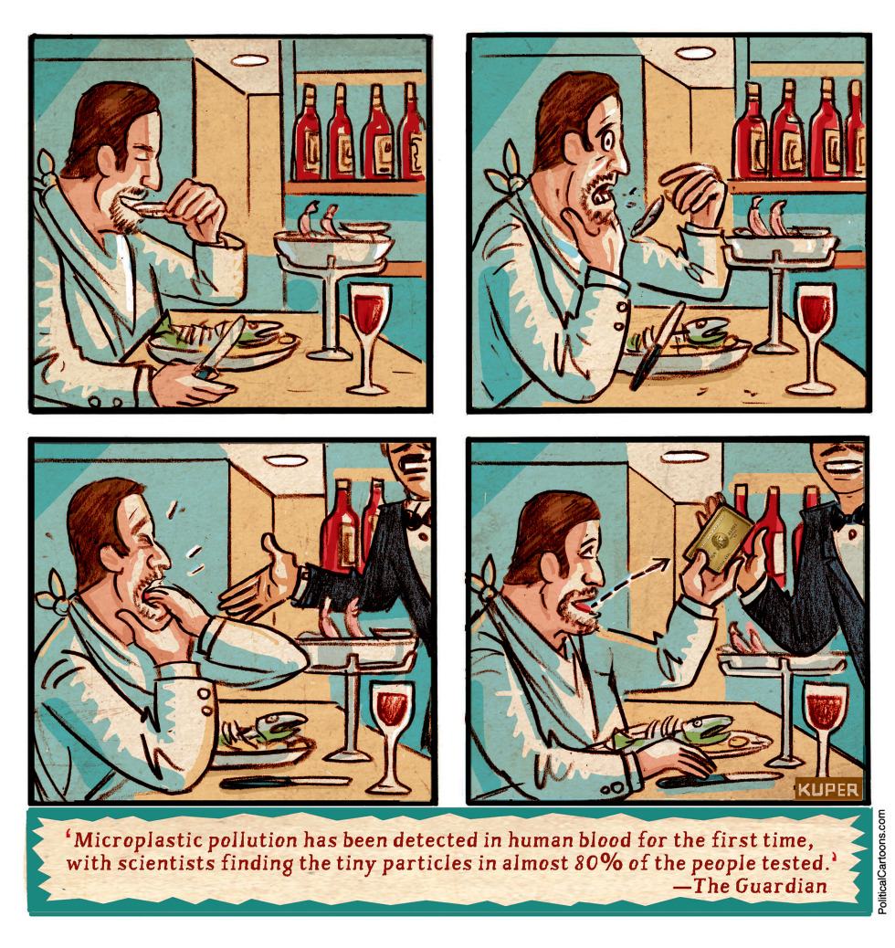 Paying With Plastic