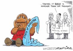 STATE OF DISASTER by Zapiro