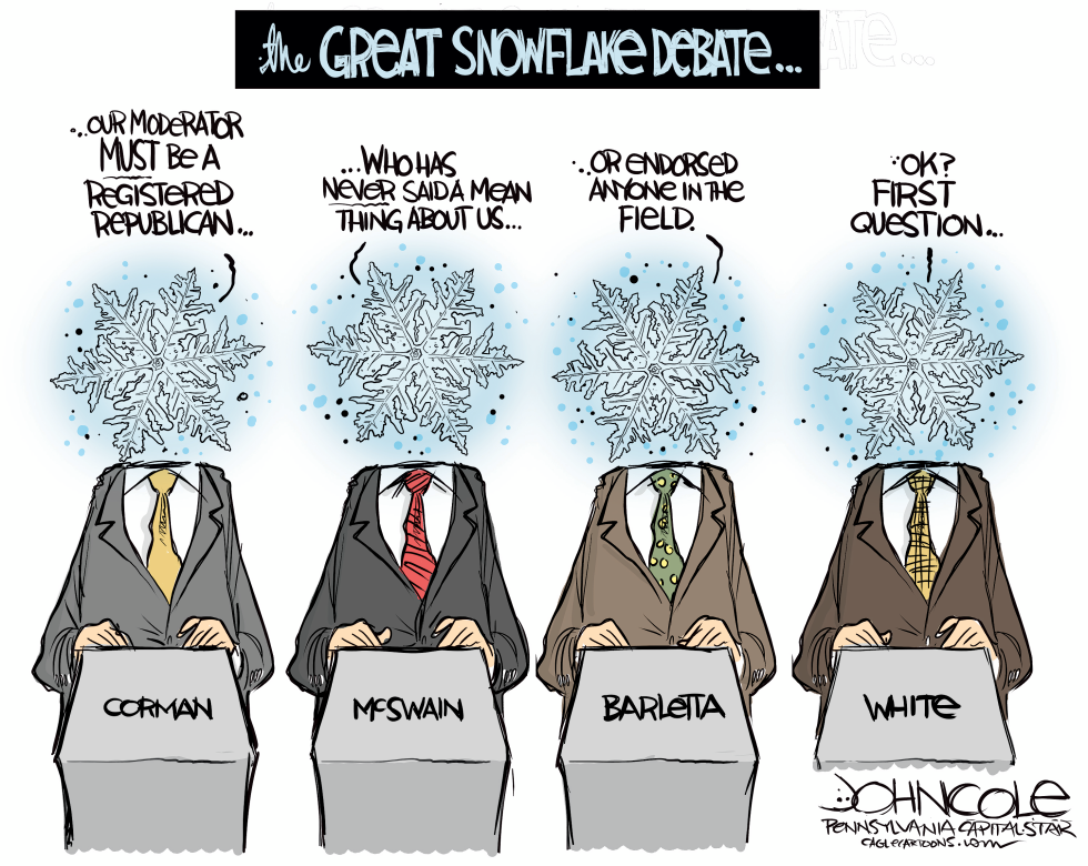 LOCAL PA - The Great Snowflake Debate