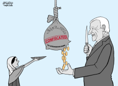 BIDEN ROBS BILLIONS by Rainer Hachfeld