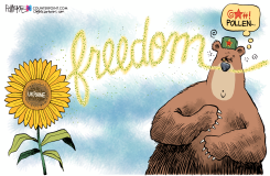 UKRAINE POLLEN by Rick McKee