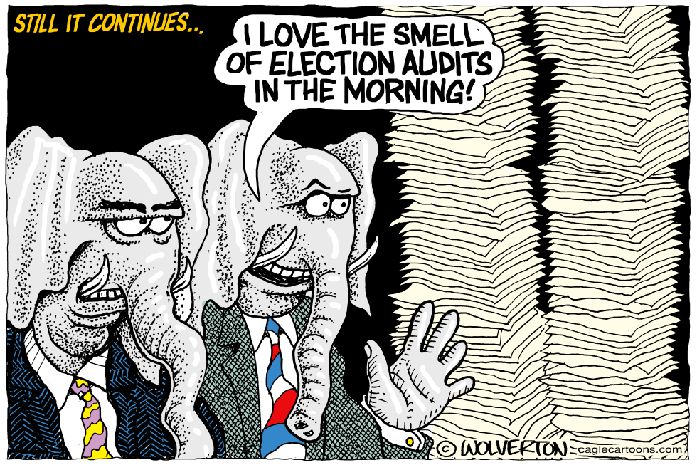 GOP Election Audits Continued
