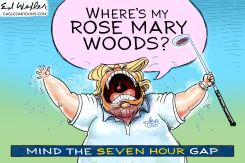 WHERES MY ROSE MARY WOODS by Ed Wexler
