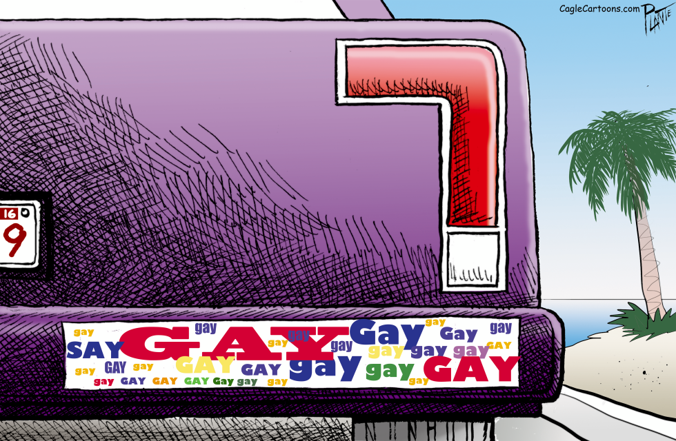 Say Gay (corrected)
