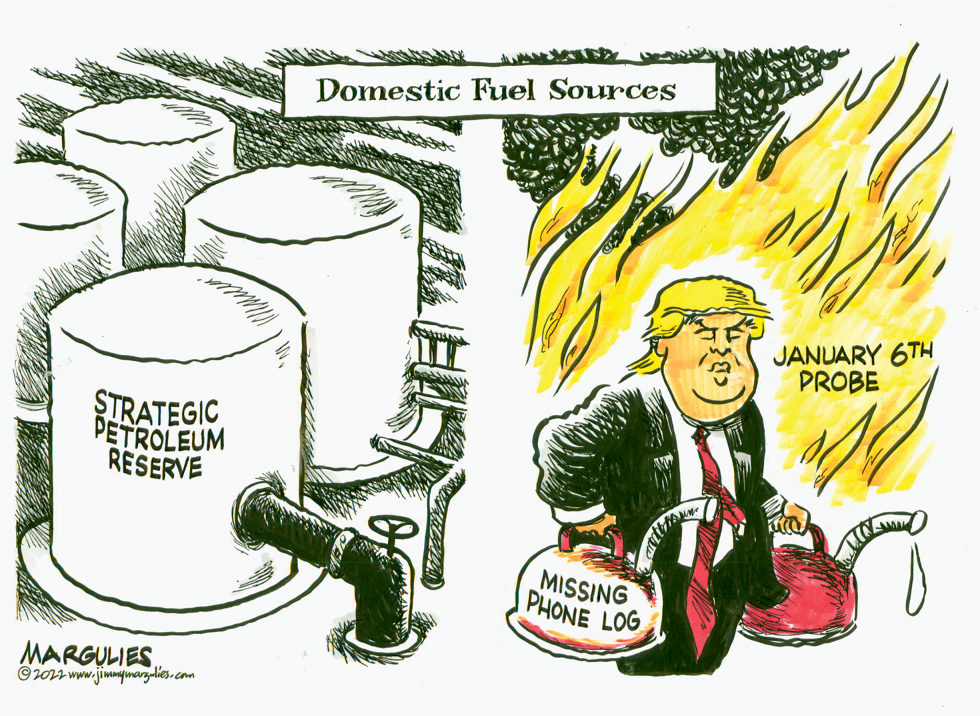 Domestic Fuel Sources