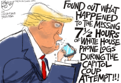PHONE GAP by Pat Bagley