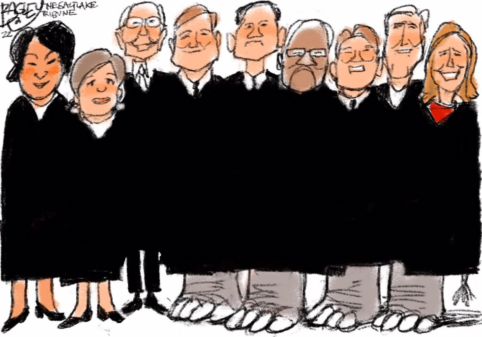 Elephant in the Court