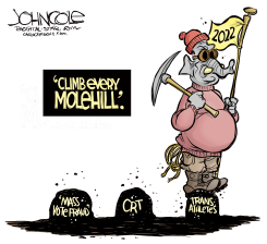 CLIMB EVERY MOLEHILL by John Cole