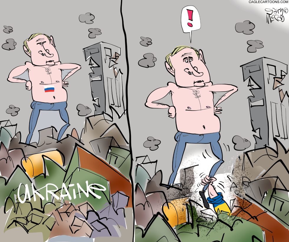 Ukraine Rises