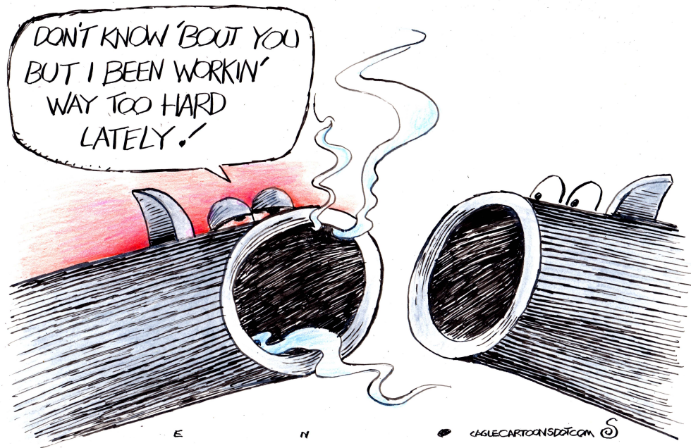 Mass Shootings