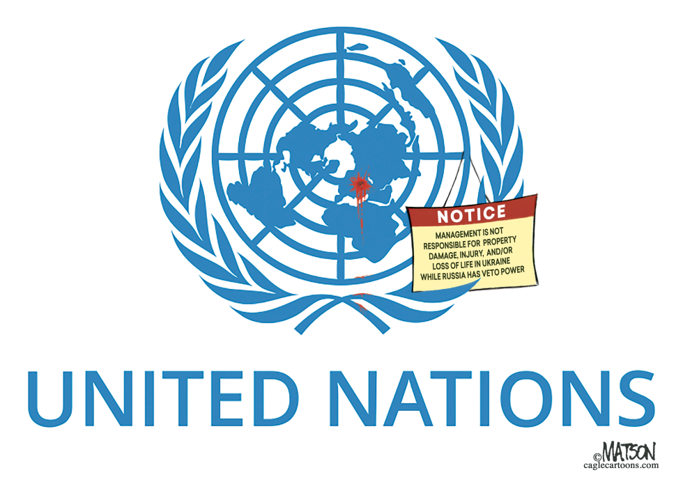 UN Security Council Disclaimer