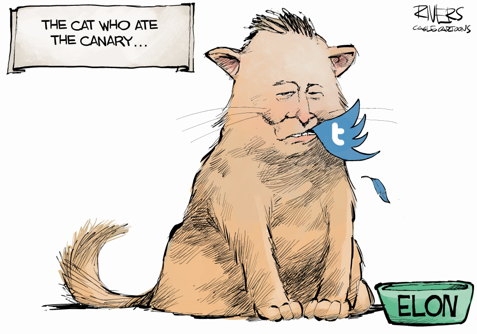 Elon Musk Twitter