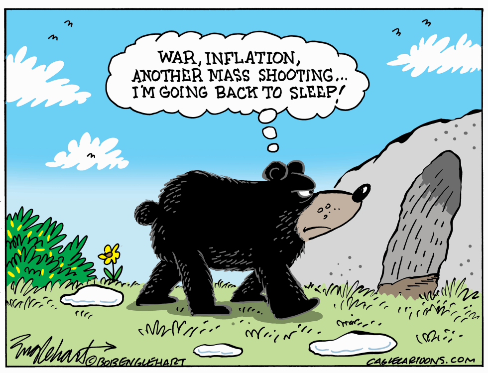 Does A Bear Hibernate In The Woods?