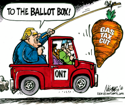 GAS TAX CUT by Steve Nease