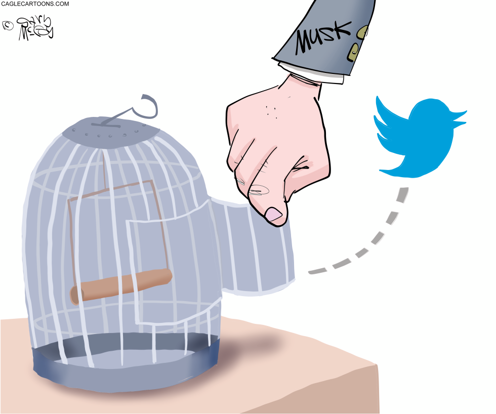 Musk Frees Twitter
