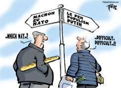 FRENCH VOTERS by Tom Janssen