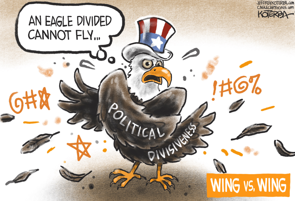An Eagle Divided Cannot Fly