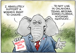 GOP'S RIGHT TO CHOOSE by Christopher Weyant