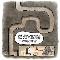 THE MOLE IN THE HOLE by Gatis Sluka