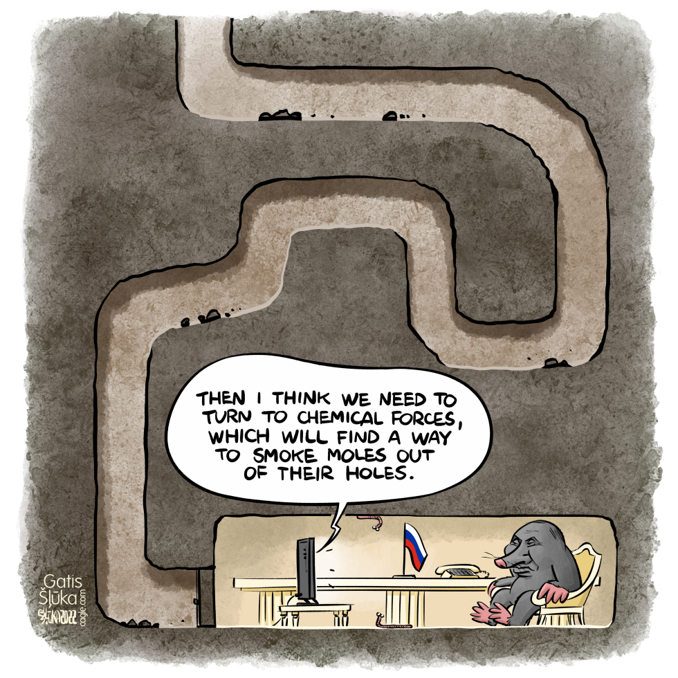 The Mole In The Hole