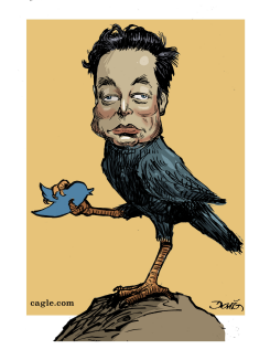 ELON MUSK  by Dario Castillejos