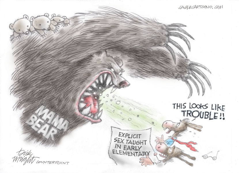 Mama Bear and School Curriculum